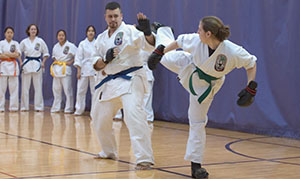Click to Enter 'Isshinryu Karate and Tae Kwon Do Demonstration' Section